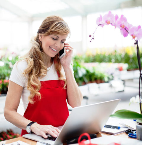 Affordable Local SEO Agency New York Starting $7/Day